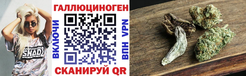 Галлюциногенные грибы Psilocybe Краснокаменск